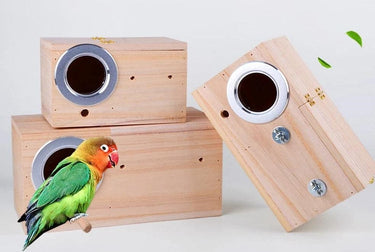 Boite à oiseaux en bois
